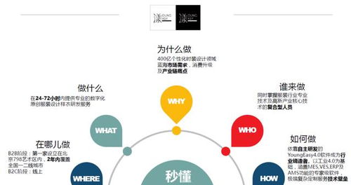 創(chuàng  )新創(chuàng  )業(yè)的案例和分析,創(chuàng  )新創(chuàng  )業(yè)的典型案例及分析,創(chuàng  )新創(chuàng  )業(yè)成功案例及分析