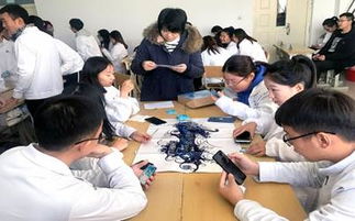 動(dòng)物醫學(xué)創(chuàng  )新創(chuàng  )業(yè)項目