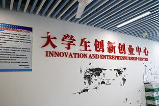 大學(xué)生創(chuàng  )新創(chuàng  )業(yè)興趣的主要