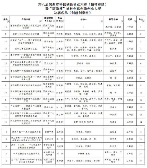 大賽,創(chuàng  )新,創(chuàng  )業(yè),結項表