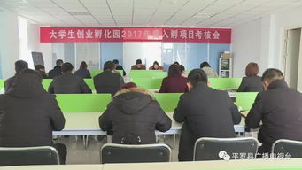 工作總結,創(chuàng  )新,創(chuàng  )業(yè),孵化園