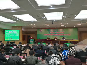 重慶市大學(xué)生創(chuàng  )新創(chuàng  )業(yè),重慶市大學(xué)生創(chuàng  )新創(chuàng  )業(yè)服務(wù)網(wǎng),重慶市大學(xué)生創(chuàng  )新創(chuàng  )業(yè)訓練計劃