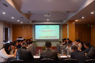 導師,大賽,意見(jiàn),創(chuàng  )新