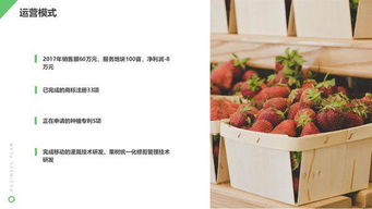 互聯(lián)網(wǎng)+鮮花店大學(xué)生創(chuàng  )新創(chuàng  )業(yè)計劃書(shū),大學(xué)生開(kāi)鮮花店創(chuàng  )業(yè)計劃書(shū),大學(xué)生鮮花店創(chuàng  )業(yè)計劃書(shū)的模板