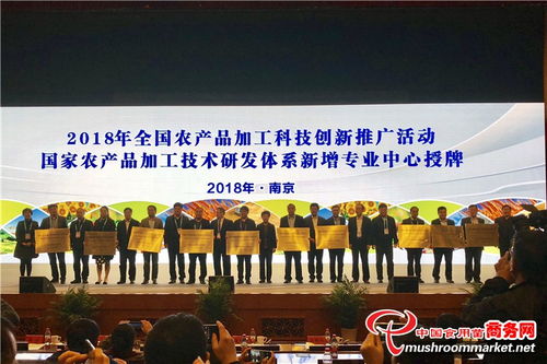 南京,博覽會(huì ),創(chuàng  )新,創(chuàng  )業(yè)