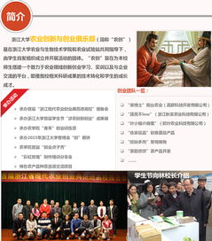 報告書(shū),調研,實(shí)踐,創(chuàng  )新