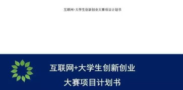 互聯(lián)網(wǎng)加大學(xué)生創(chuàng  )新創(chuàng  )業(yè)大賽項目計劃書(shū)