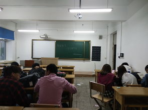 旅游創(chuàng  )新創(chuàng  )業(yè)個(gè)人心得體會(huì )