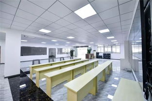 業(yè)態(tài),聚焦,領(lǐng)域,創(chuàng  )新