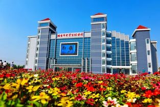 鄒城市創(chuàng  )新創(chuàng  )業(yè)園地址