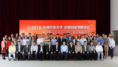 揭牌,儀式,創(chuàng  )新,創(chuàng  )業(yè)