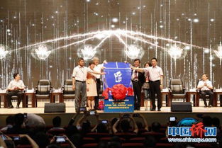 挑戰賽,創(chuàng )意,官網(wǎng),全國高校