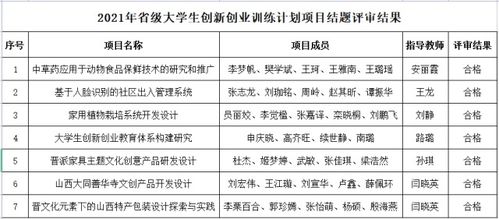 創(chuàng  )業(yè)項目,結題,等級,創(chuàng  )新