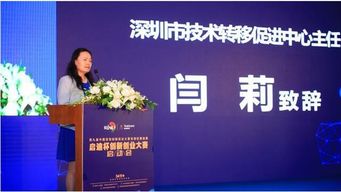 創(chuàng  )新創(chuàng  )業(yè)的啟示600