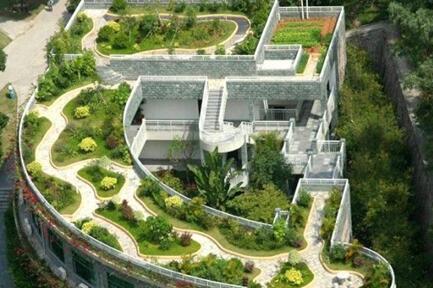 校園屋頂綠化創(chuàng  )新創(chuàng  )業(yè)