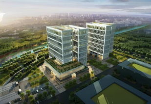 新疆,孵化,生物醫藥,創(chuàng  )新