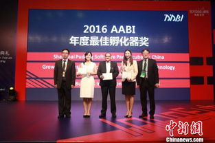 上海市政府創(chuàng  )新創(chuàng  )業(yè)