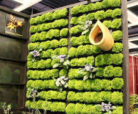 植物創(chuàng  )新創(chuàng  )業(yè)項目