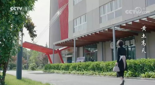 發(fā)展有限公司,創(chuàng  )新,創(chuàng  )業(yè),楊凌