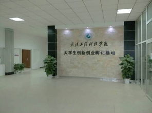 孵化,創(chuàng  )新,創(chuàng  )業(yè),大學(xué)