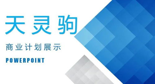 輔導班,商業(yè)計劃書(shū),創(chuàng  )新,創(chuàng  )業(yè)