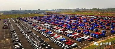 中韓創(chuàng  )新創(chuàng  )業(yè)園資陽(yáng)基地