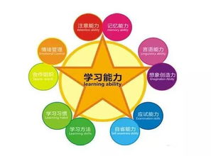 顛覆創(chuàng )新是創(chuàng )業(yè)過(guò)程創(chuàng )新能力維度的第一要素