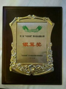 互聯(lián)網(wǎng)創(chuàng )新創(chuàng )業(yè)大賽獎牌