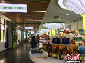 貧困戶(hù),創(chuàng  )新,創(chuàng  )業(yè),中心