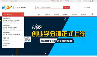 怎么修改大學(xué)生創(chuàng  )新創(chuàng  )業(yè)項目