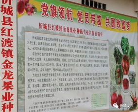 貧困戶(hù),提案,創(chuàng  )新,創(chuàng  )業(yè)