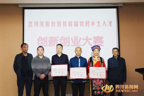 動(dòng)能,振興,鄉村,創(chuàng  )新