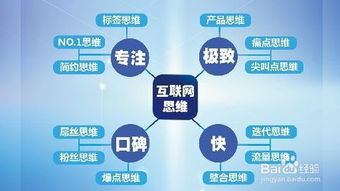 互聯(lián)網(wǎng)思維在創(chuàng  )新創(chuàng  )業(yè)中的應用論文