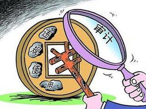 創(chuàng  )新創(chuàng  )業(yè)扶貧資金審計