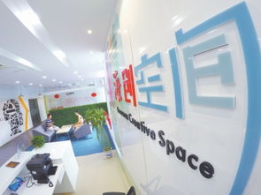 離岸創(chuàng  )新創(chuàng  )業(yè)國際經(jīng)驗