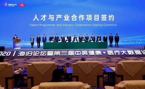 重慶市,團隊,英才,創(chuàng  )新