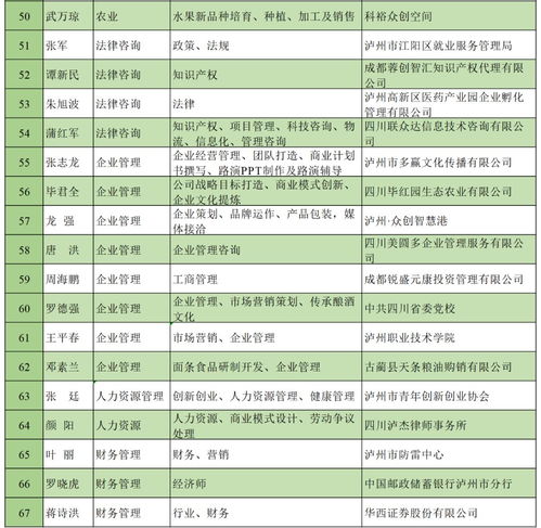 指導老師,評價(jià),意見(jiàn),創(chuàng  )新