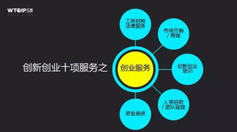 十大創(chuàng  )新創(chuàng  )業(yè)的行業(yè)