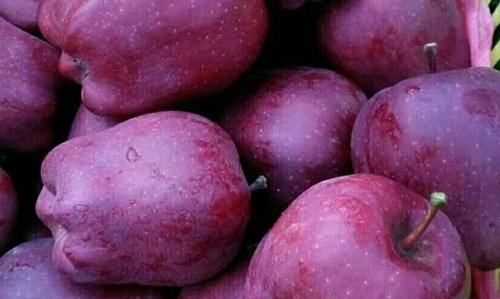 花牛蘋(píng)果是蛇果,花牛蘋(píng)果和蛇果圖5