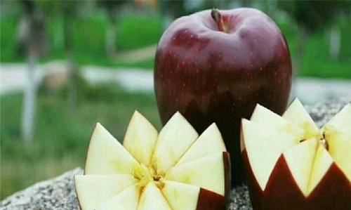 花牛蘋(píng)果是蛇果,花牛蘋(píng)果和蛇果圖6