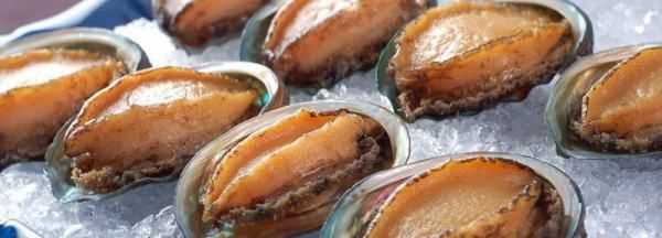 鮑魚(yú)可以?xún)雒?鮑魚(yú)可以放在冰箱里冷凍嗎圖2