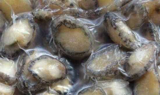 鮑魚(yú)可以?xún)雒?鮑魚(yú)可以放在冰箱里冷凍嗎圖3