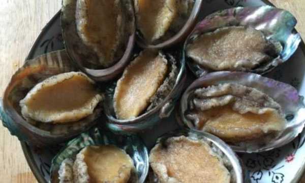 鮑魚(yú)可以?xún)雒?鮑魚(yú)可以放在冰箱里冷凍嗎圖6