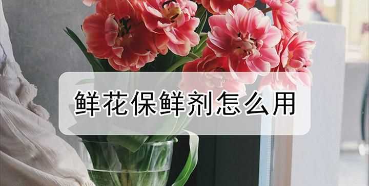 鮮花保鮮劑的作用以及三個(gè)保鮮劑配方