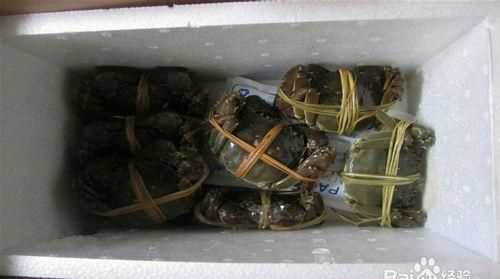 螃蟹能放冰箱保存嗎?