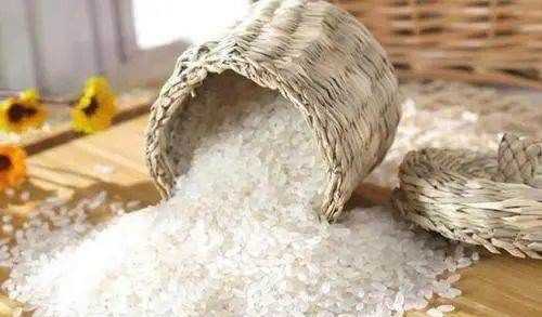 米有米蟲(chóng)該怎么辦,大米里面發(fā)現了米蟲(chóng)怎么辦圖9