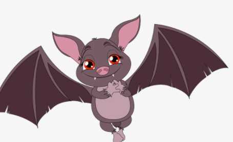 蝙蝠會(huì )咬人,想知道蝙蝠會(huì )咬人嗎圖3