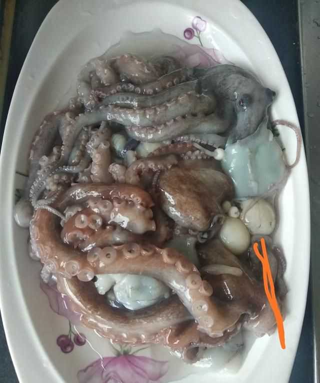 八爪魚(yú)的哪些部位不能吃
，八爪魚(yú)怎么吃好吃？哪里不能吃？圖3