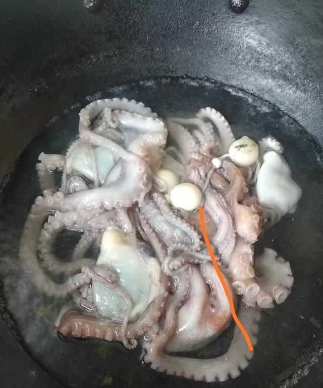 八爪魚(yú)的哪些部位不能吃
，八爪魚(yú)怎么吃好吃？哪里不能吃？圖5