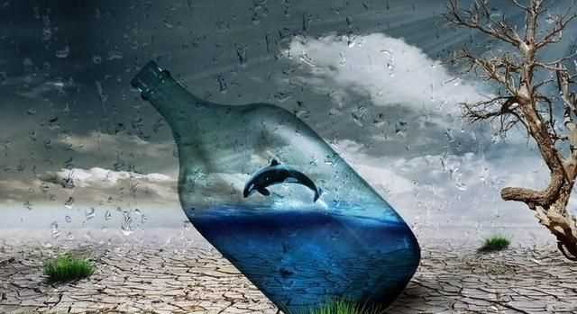 為什么說(shuō)水是生命之源，人為什么說(shuō)水是生命之源？圖1